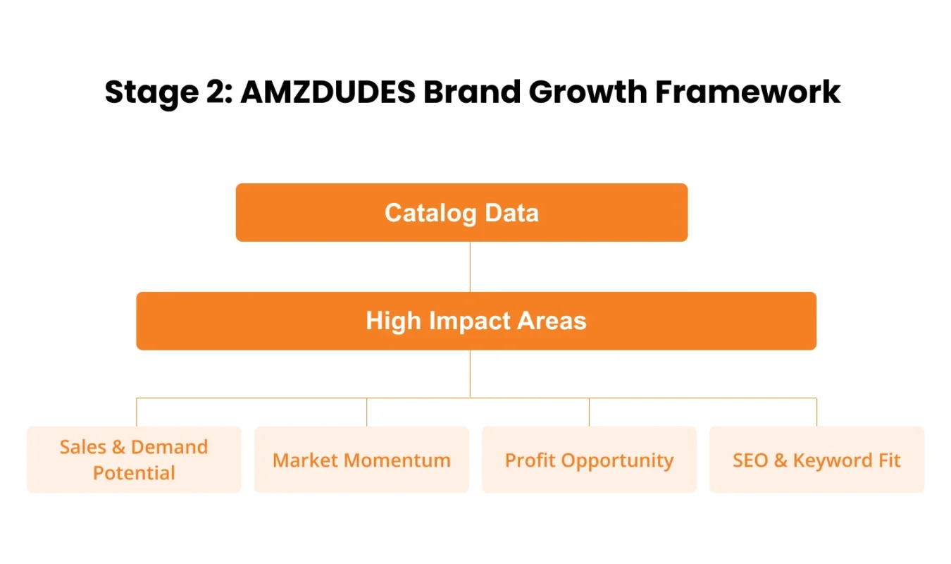 image showing stage 2 of AMZDUDES brand growth framework